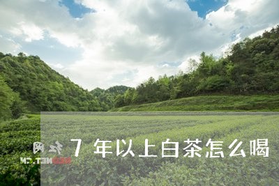 7年以上白茶怎么喝/2023071337078