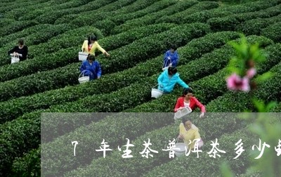 7年生茶普洱茶多少钱/2023061996048