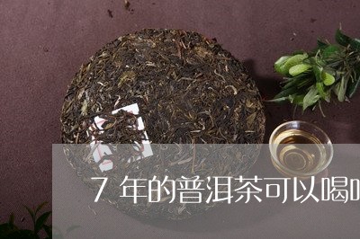 7年的普洱茶可以喝吗/2023092789360