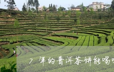 7年的普洱茶饼能喝吗/2023072240583