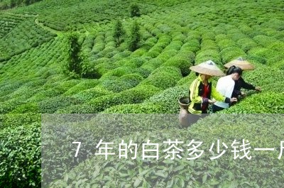 7年的白茶多少钱一斤/2023092745927