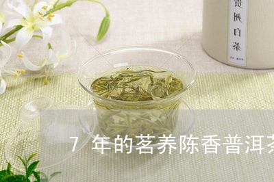 7年的茗养陈香普洱茶/2023092614038