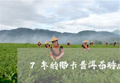 7年的那卡普洱茶特点/2023072338603