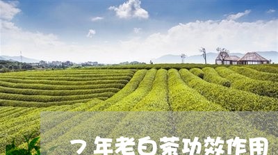 7年老白茶功效作用/2023071360502