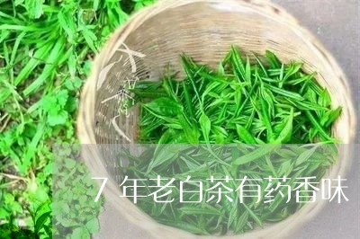 7年老白茶有药香味/2023073158373