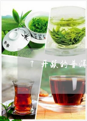 7开头的普洱茶好卖吗/2023120653828