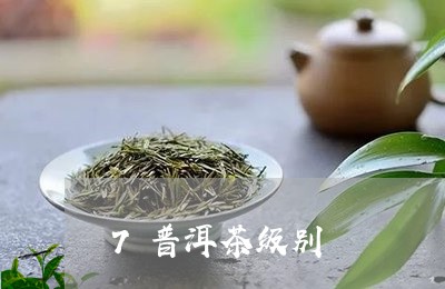 7普洱茶级别/2023042797138