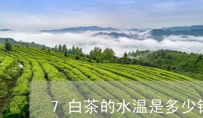 7白茶的水温是多少钱/2023092776382