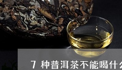 7种普洱茶不能喝什么茶/2023082826461