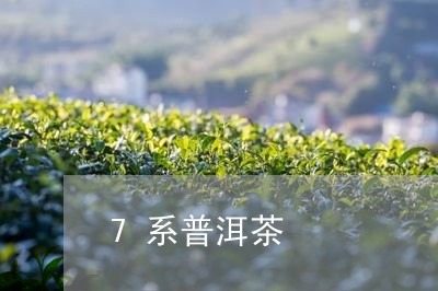 7系普洱茶/2023102536267