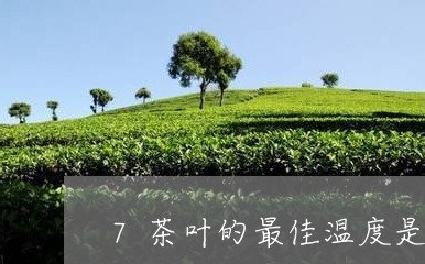 7茶叶的最佳温度是80度吗/2023052674238