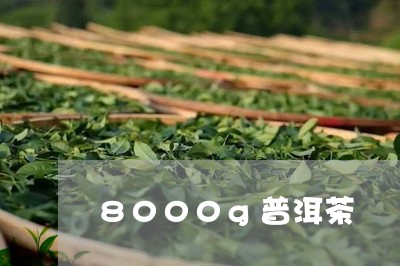 8000g普洱茶/2023120437261