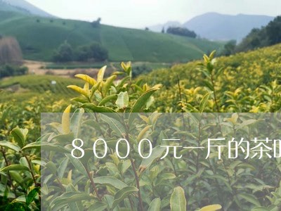 8000元一斤的茶叶/2023061134948