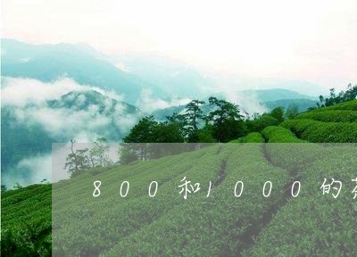 800和1000的茶叶区别/2023052691682