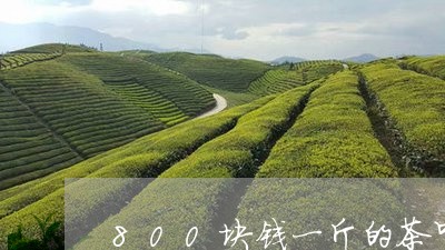 800块钱一斤的茶叶怎么样/2023052673725