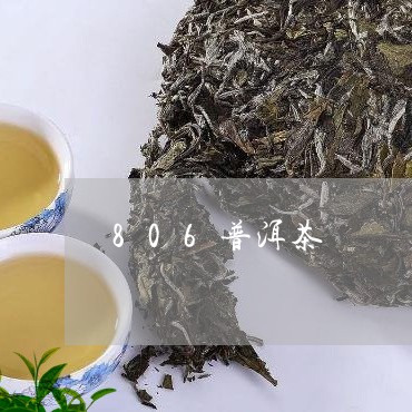 806普洱茶/2023042850295