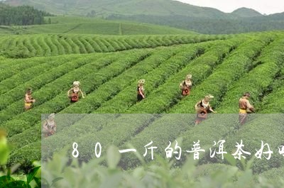 80一斤的普洱茶好吗/2023061673804