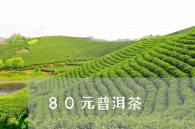 80元普洱茶/2023042846518