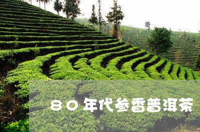 80年代参香普洱茶/2023120525481