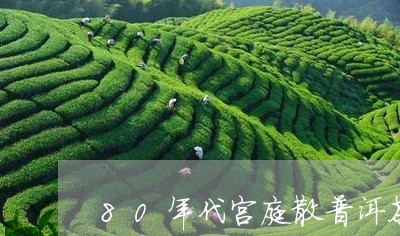 80年代宫庭散普洱茶/2023120665148