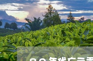 80年代广元贡普洱茶/2023061911716