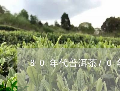 80年代普洱茶70年代红印普洱茶/2023060384147