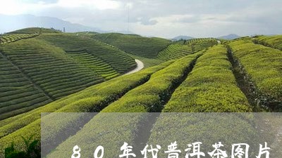 80年代普洱茶图片/2023091579259