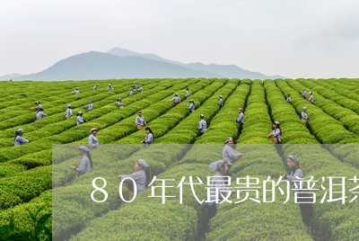 80年代最贵的普洱茶价格/2023112408597