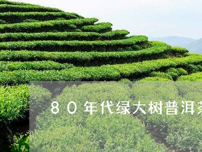 80年代绿大树普洱茶/2023062119573