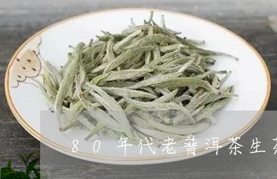 80年代老普洱茶生茶/2023062854727