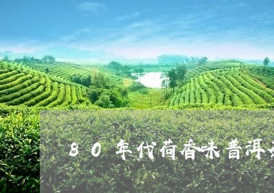 80年代荷香味普洱茶/2023061562935