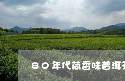 80年代荷香味普洱茶/2023072219715