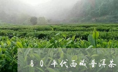 80年代西藏普洱茶/2023082848283