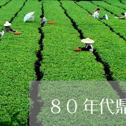 80年代鼎兴号普洱茶/2023092548263