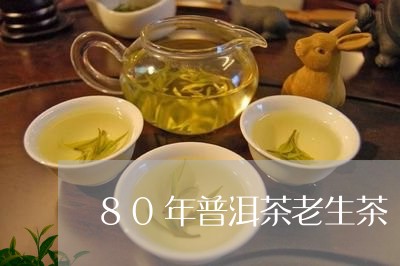 80年普洱茶老生茶/2023091572825