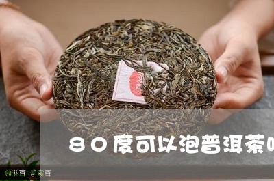 80度可以泡普洱茶吗/2023062942047