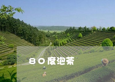 80度泡茶/2023122069513