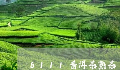 8111普洱茶熟茶/2023101709584