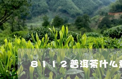 8112普洱茶什么意思/2023120753038