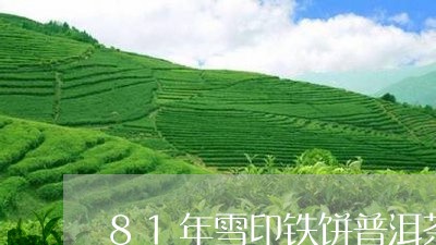 81年雪印铁饼普洱茶/2023092939284