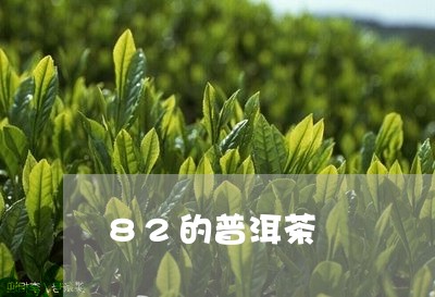 82的普洱茶/2023042756264