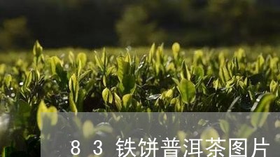 83铁饼普洱茶图片/2023070880504