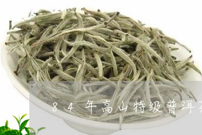 84年高山特级普洱茶/2023092947369