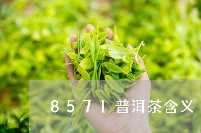 8571普洱茶含义/2023091424169