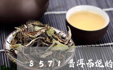 8571普洱茶说的是啥/2023122051505