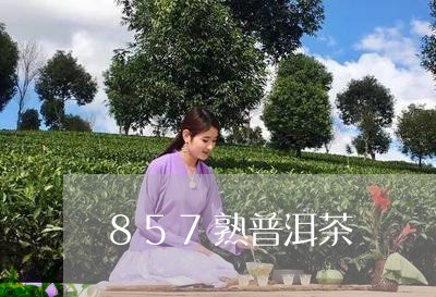 857熟普洱茶/2023101695360