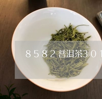 8582普洱茶301/2023062858471