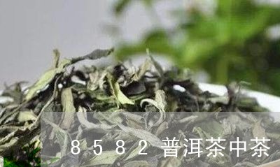 8582普洱茶中茶/2023091599381