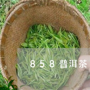 858普洱茶/2023042870829