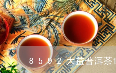 8592大益普洱茶1998年/2023053006047